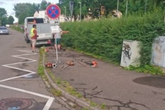 Fischermatte, Waldkirch