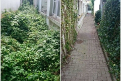 Heckenentfernung